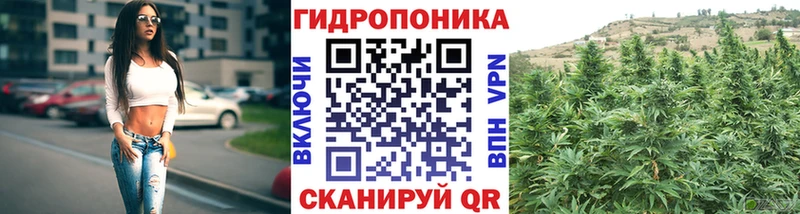 Шишки марихуана сатива  Оленегорск 